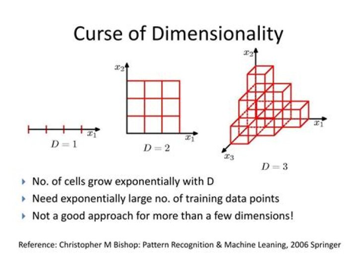 What does two-dimensionality meaning?