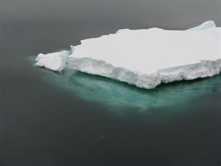 What is an ice floe?