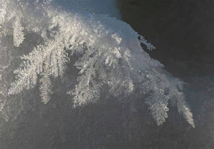What is hoary frost?