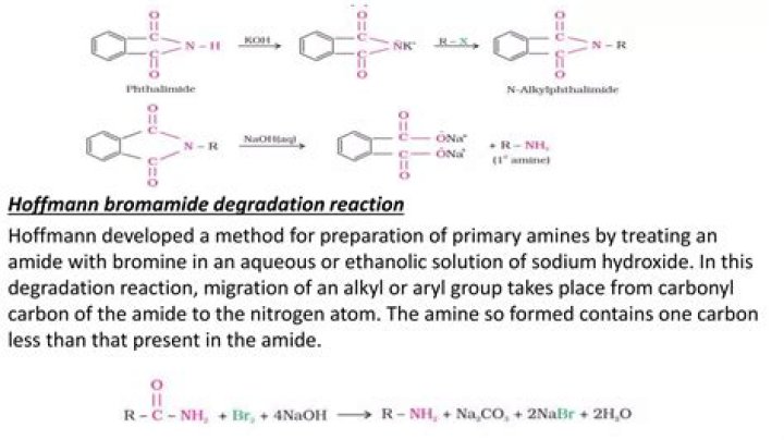 What is hoffmann bromamide degradation?