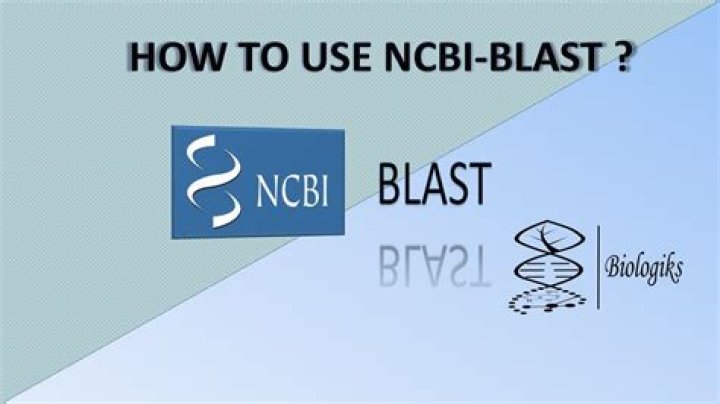 What is ncbi blast?