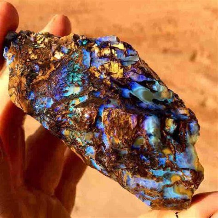 What is opalized wood?