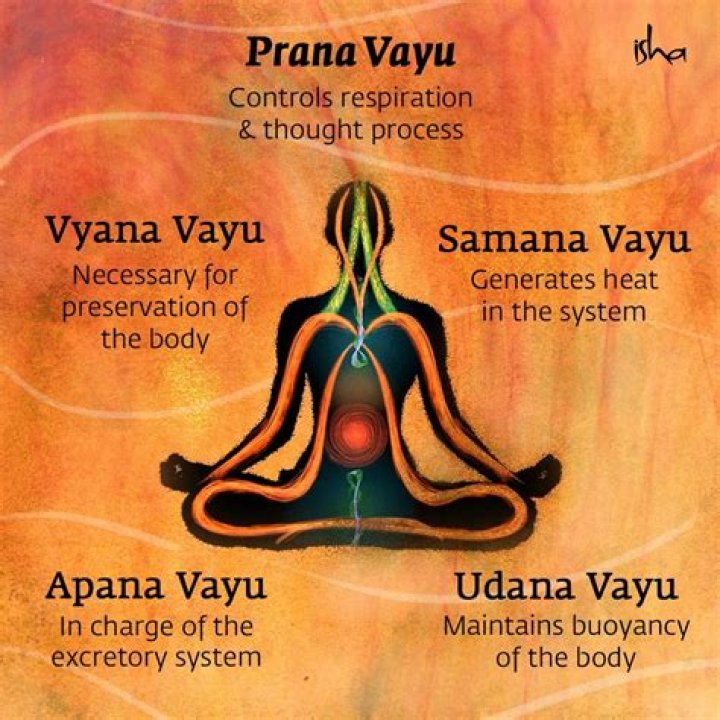 What is prana vayu?