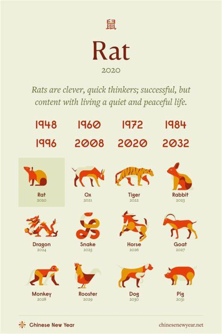 What is rat kiley's reputation?