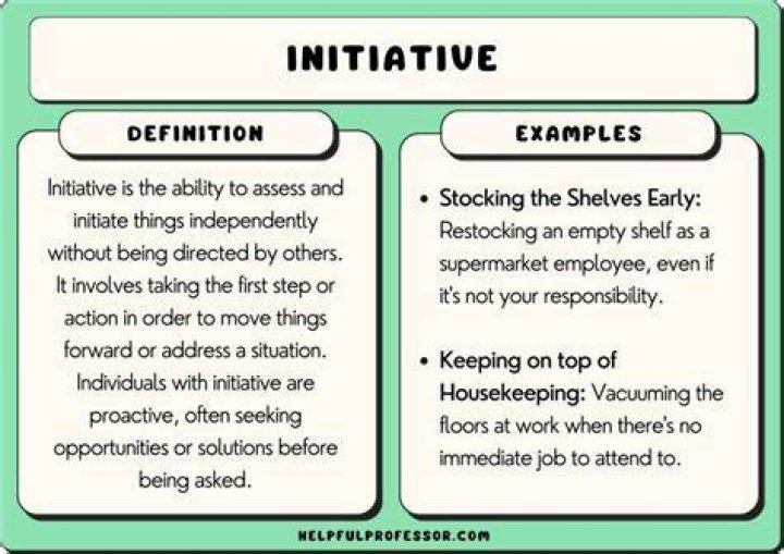 What is the definition of initiative?