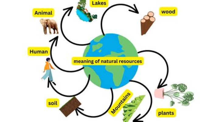 What is the definition of interrelations?