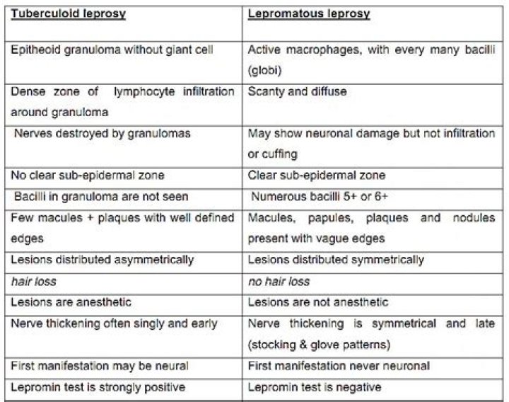 What is the difference between tuberculoid and lepromatous leprosy?