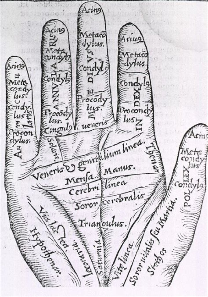 What is the purpose of hand ax?