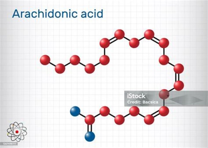 What is the structure of arachidonic acid?