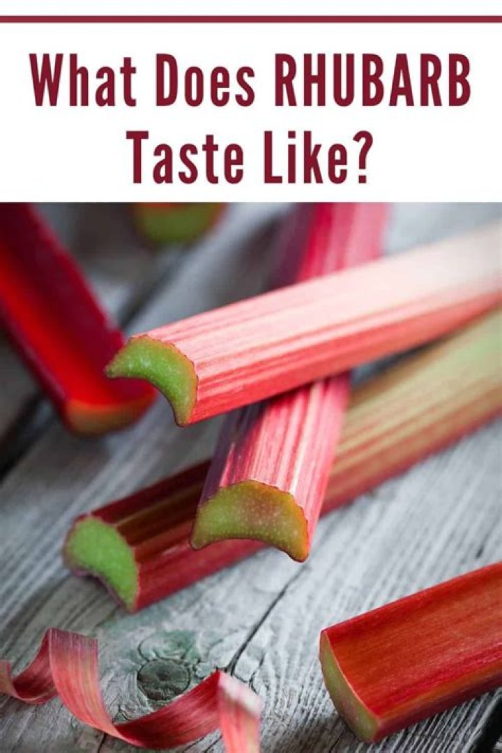 What is the taste of rhubarb?