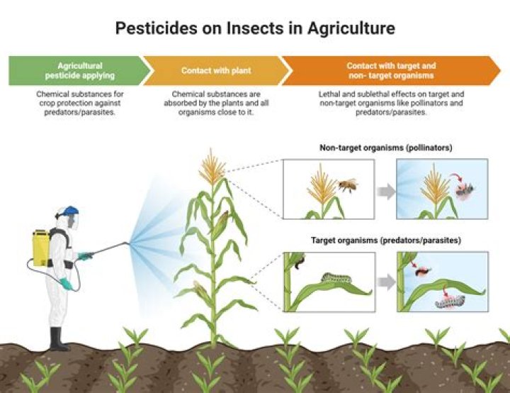 What is the use of fungicide?