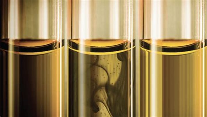 What is tribology oil?