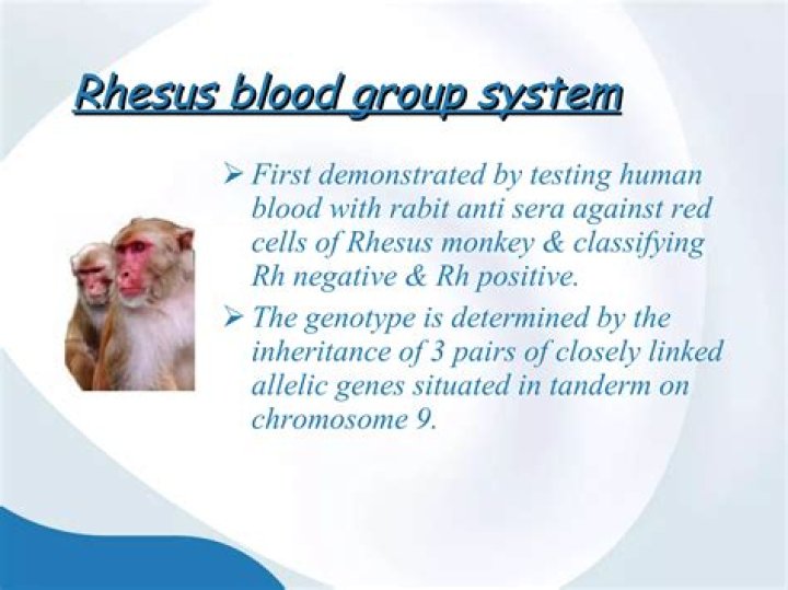 What letter is rhesus negative blood?