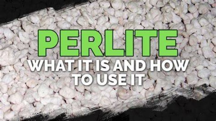 What perlite made of?