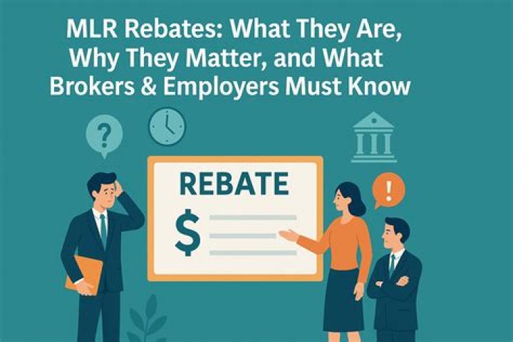 Whats an mlr rebate?