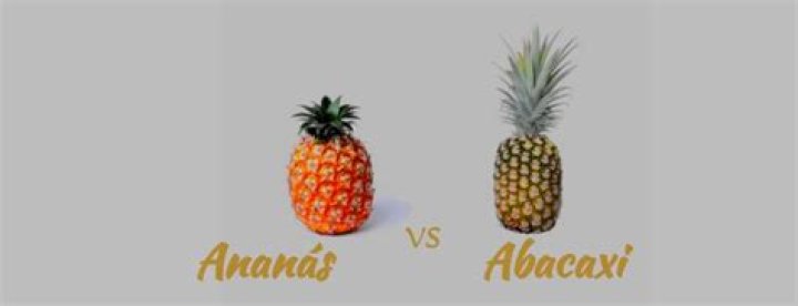 Whats the difference between abacaxi and pineapple?