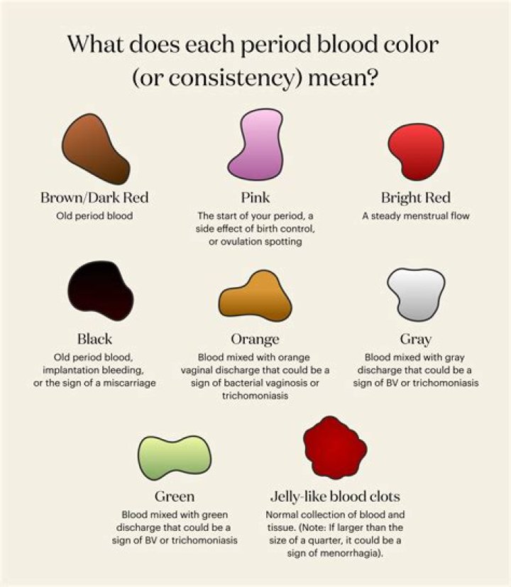 Whats the meaning of pintura?