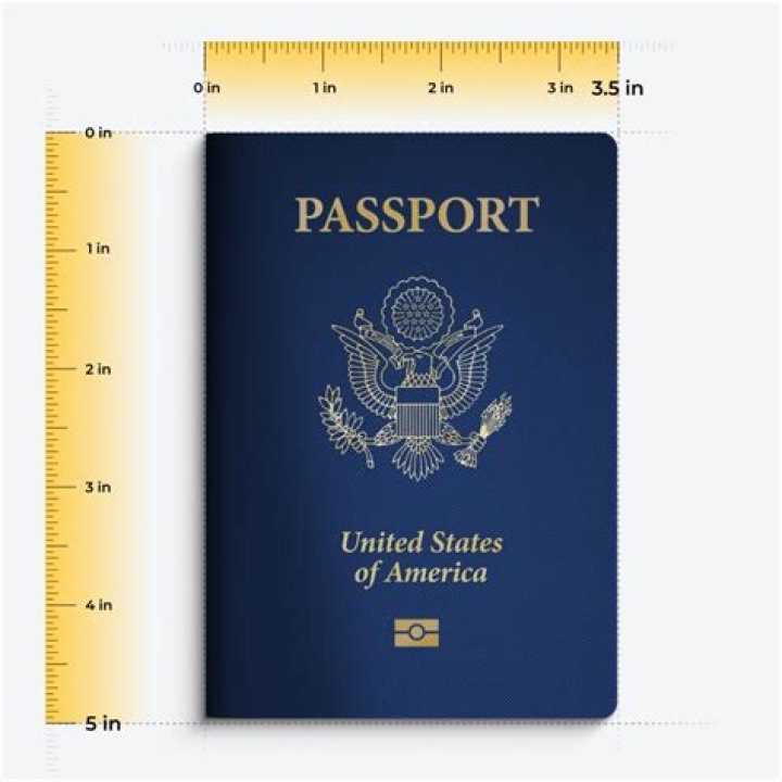 Whats type p mean on a passport?