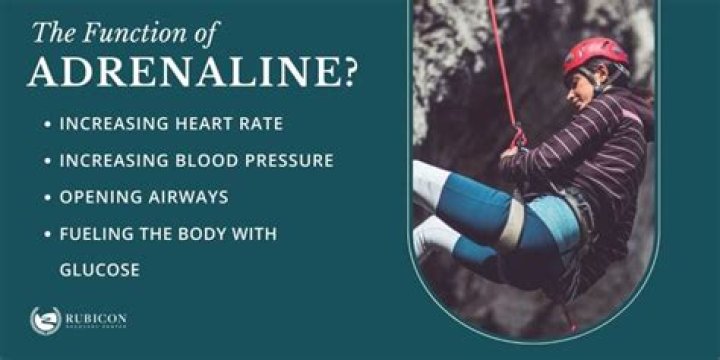 When adrenaline is released into the bloodstream?