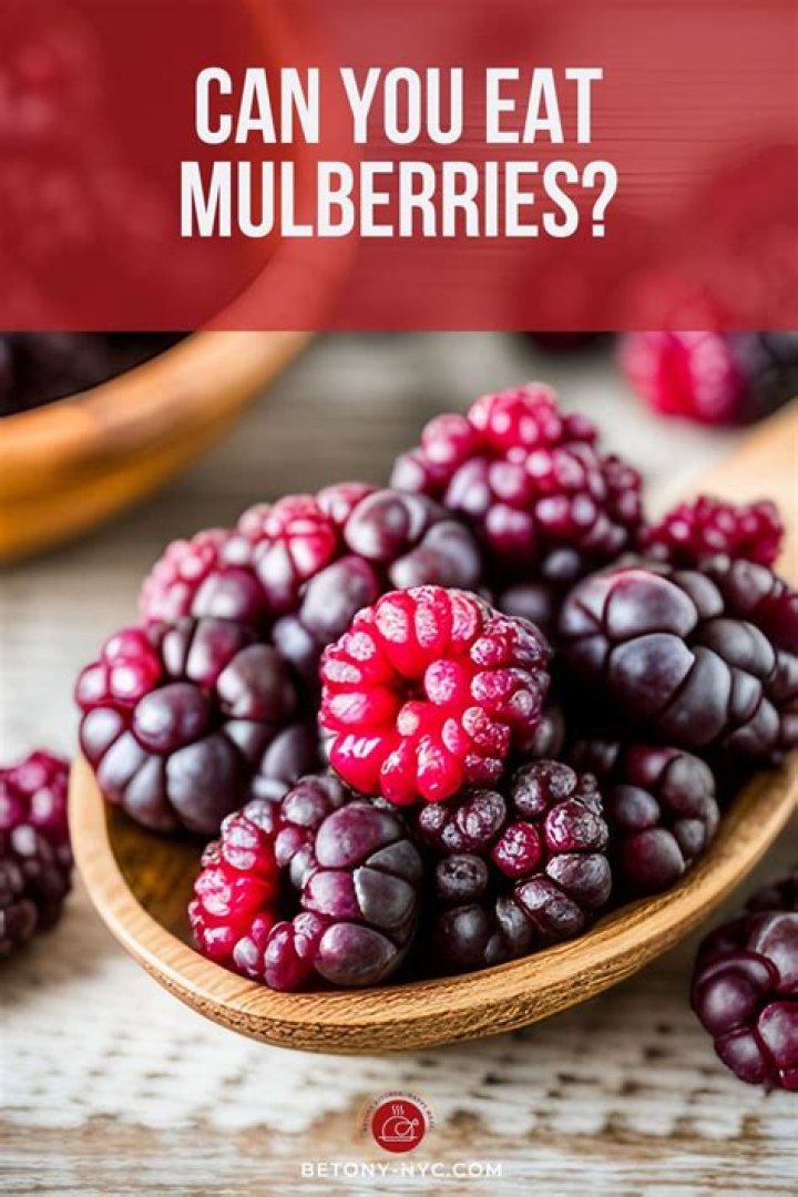 When can you eat mulberries?