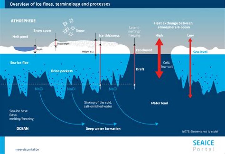 When is seawater densest?