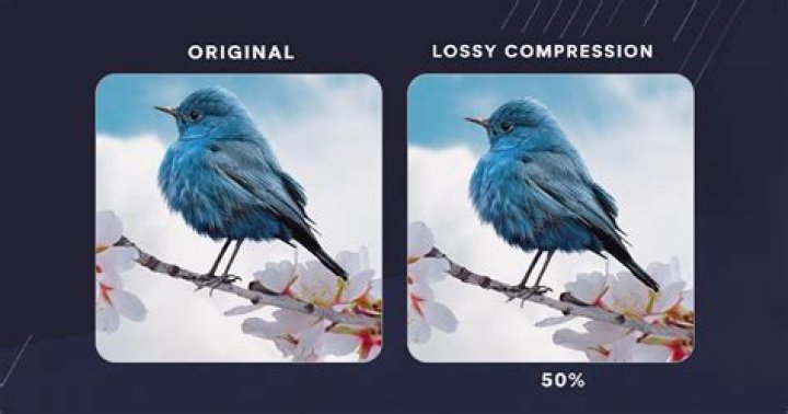 When should you use lossy compression?