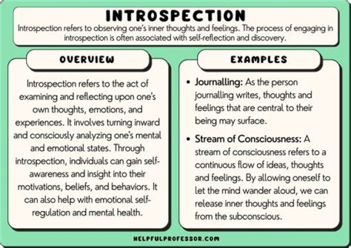 When was introspection introduced?