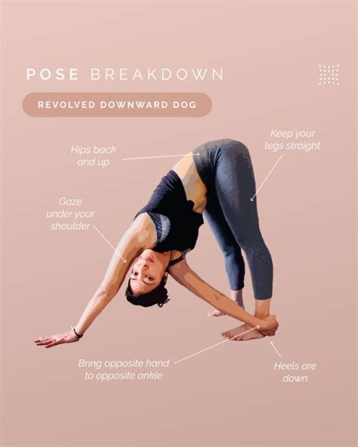 Where did downward dog come from?