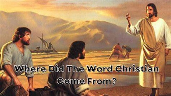 Where did the word conciliate come from?