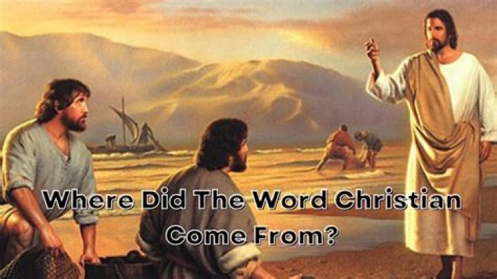 Where did the word pismire come from?