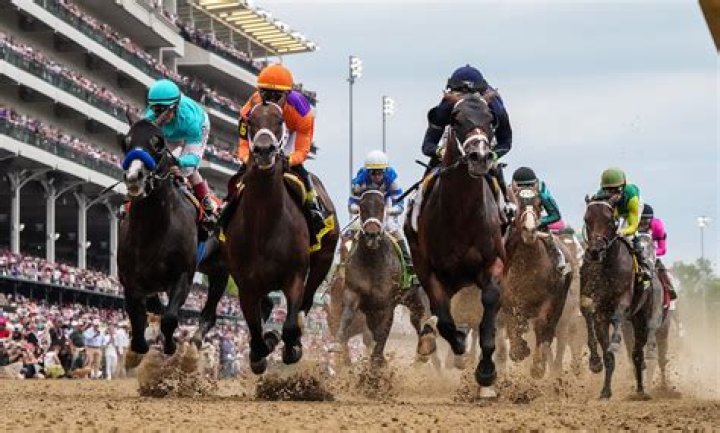 Where do thoroughbred horses live?