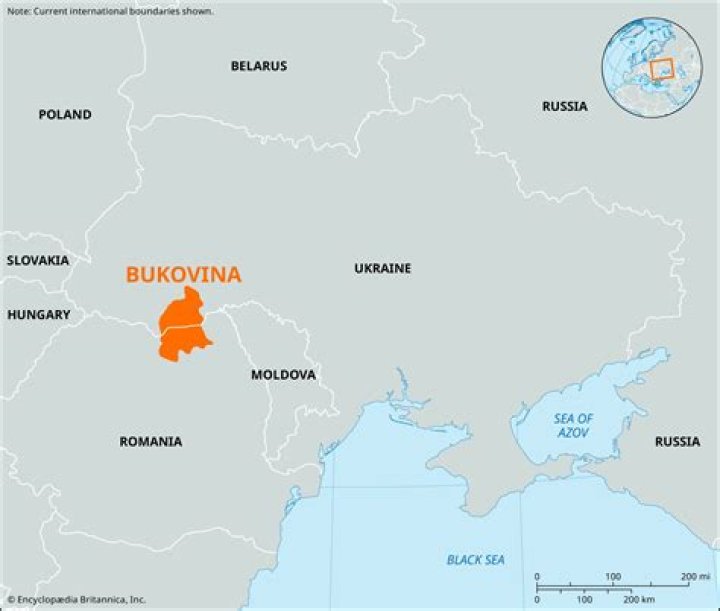 Where is bukovina located?