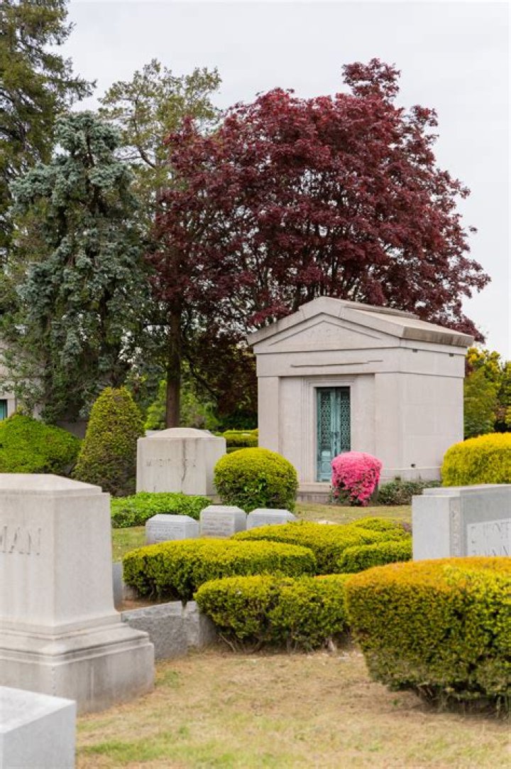 Where is new montefiore cemetery?