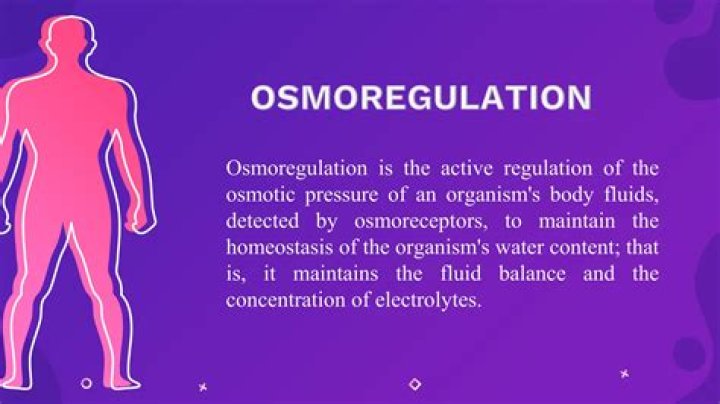 Where is osmoregulation detected?