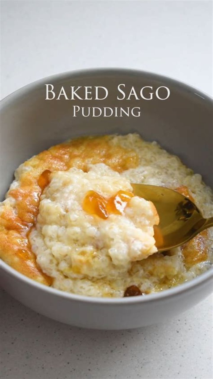 Where is sago pudding from?