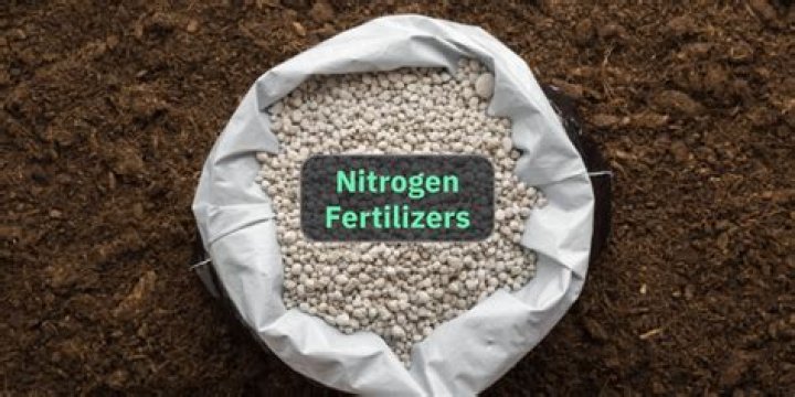 Where to use fertiliser?