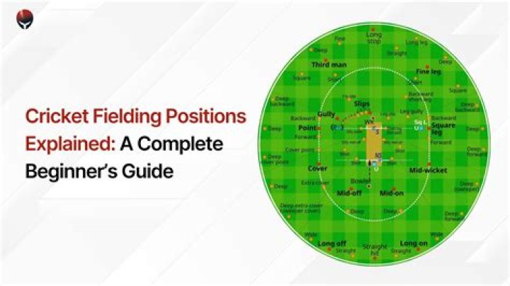 Which are the fielding positions?