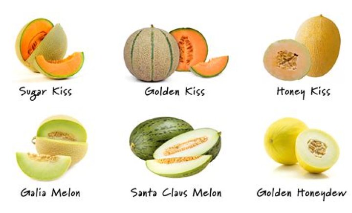 Which cantaloupes are the sweetest?