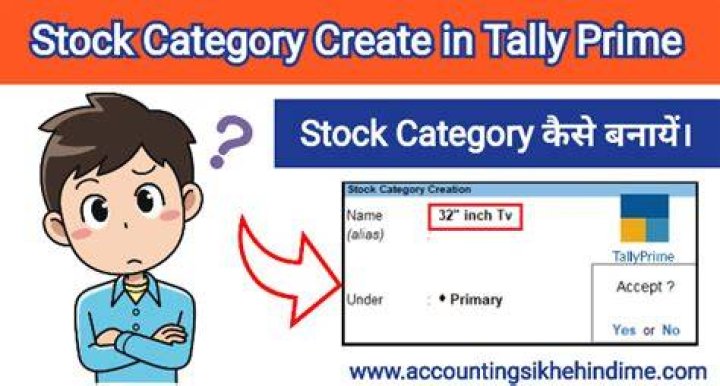Which is predefined stock category in tally?