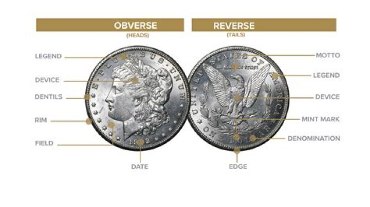 Which is the obverse side of a coin?