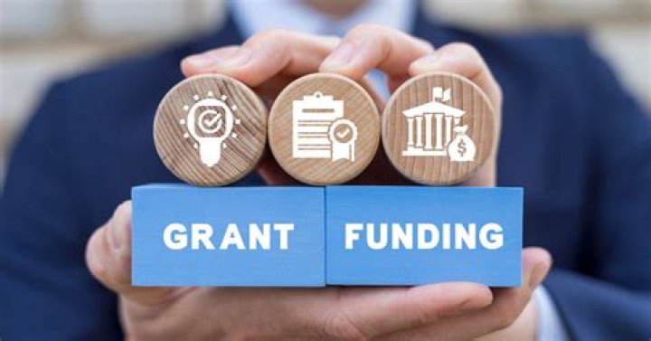 Which of the following authorities grants and revokes licenses?