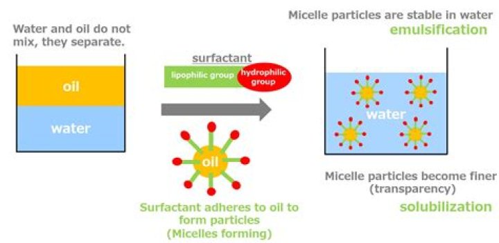 Which of the following form micelles when placed in water?