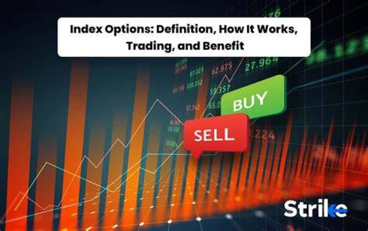 Which of the following index options are broad based?