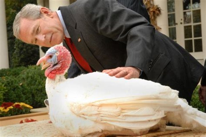 Which president started pardoning turkeys?
