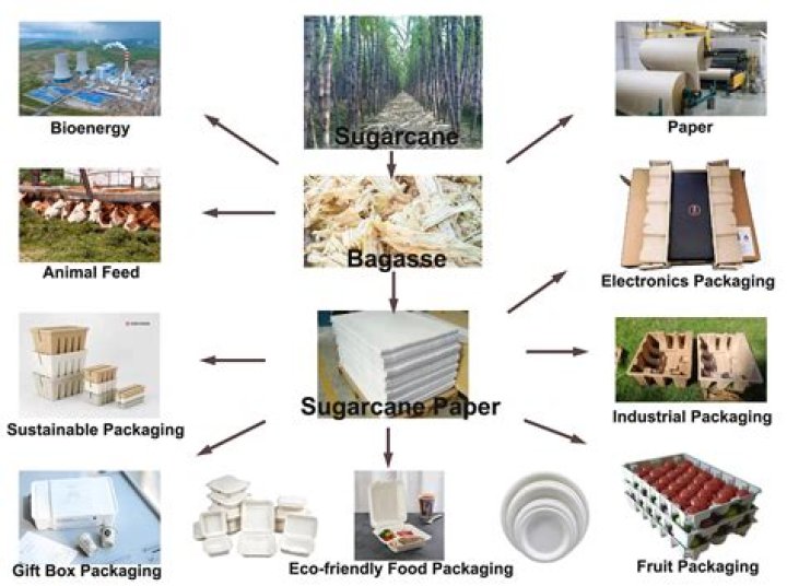 Which purpose is bagasse used?