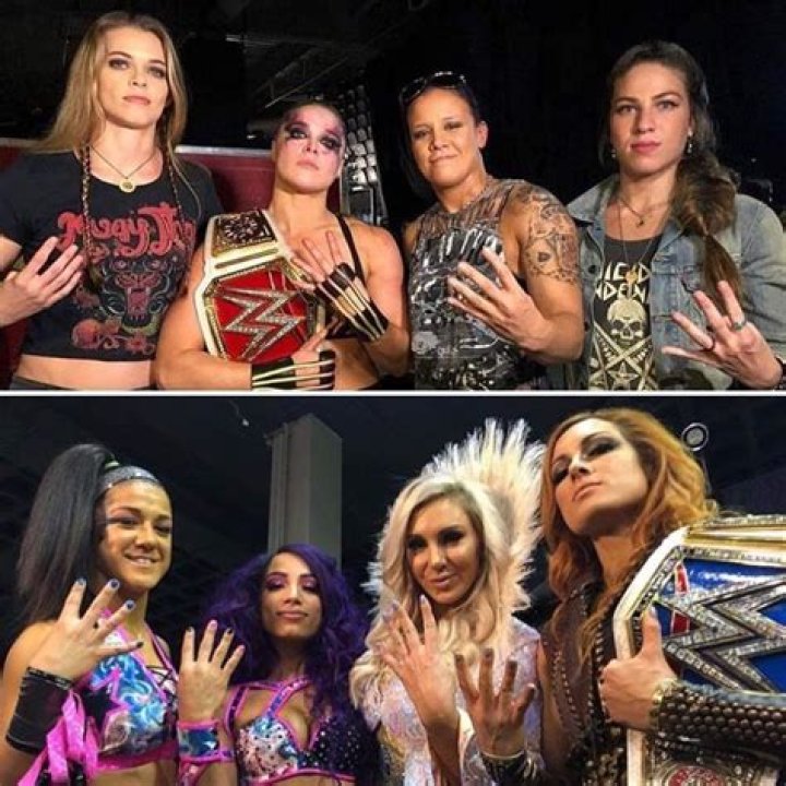 Who are the four horsewomen?