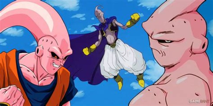 Who defeats majin buu?