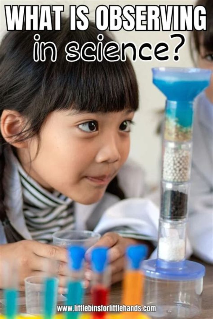 Who does observation mean in science?