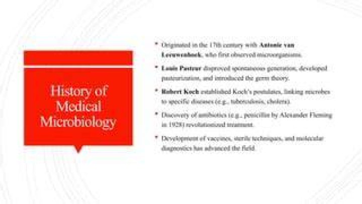 Who first observed microorganisms?
