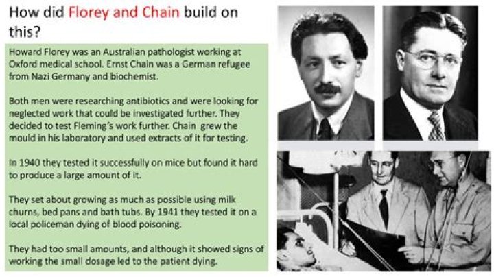 Who funded florey and chain?
